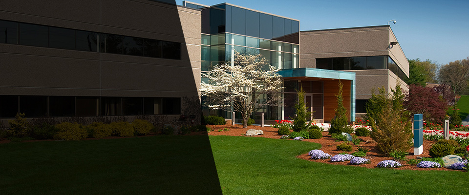 Strawberry Plains Landscapers