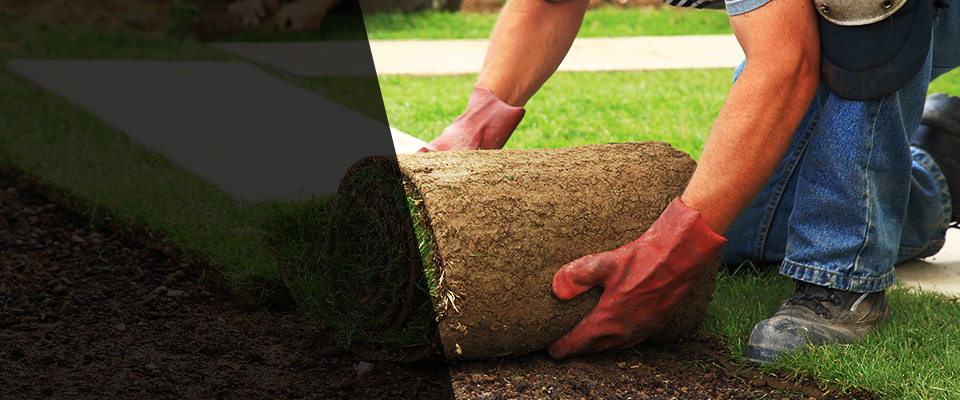 Strawberry Plains Landscapers